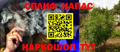 дмт Камышлов