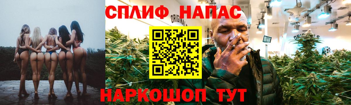 Бошки Шишки план Кропоткин
